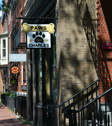 Paws on Charles, Charles St., Beacon Hill, Boston