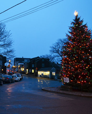 Christmas Tree in downtown Rockport, Mass. in 2019