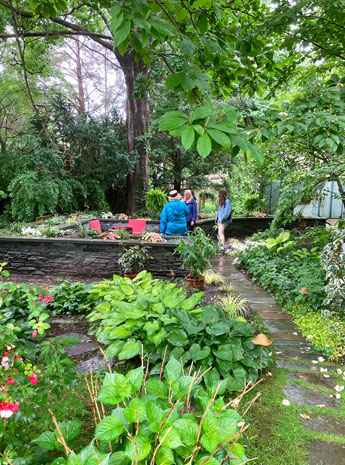 Leafy shade gardens being enjoyed by my family during Wickford in Bloom garden tour, Benjamin Reynolds House